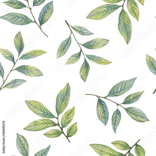 Watercolor botanical pattern of green leaves on a white background. Seamless pattern for fabric, wallpaper, wrapping paper design, scrapbooking.
