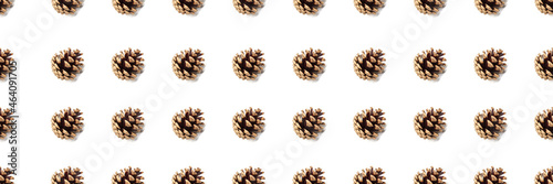 Dry pine cone seamless pattern isolated on white background. Symbol of Christmas and New Year. Autumn and winter season concept. Design element, panoramic banner, header