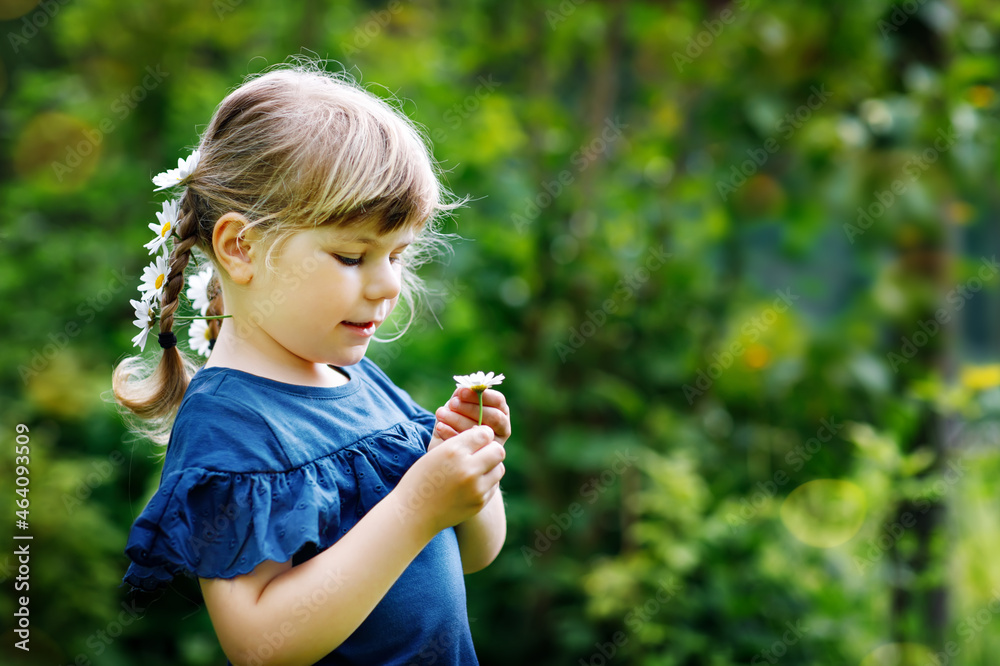 Little preschool girl with braids and daisy flowers in long blond hairs. Close-up of toddler child. Summer concept. Children outdoors with daisies flower. Playing he loves me. Little preschool girl with braids and daisy flowers in long blond hairs. Close-up of toddler child. Summer concept. Children outdoors with daisies flower. Playing he loves me.