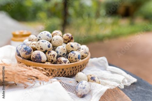 quail eggs photo