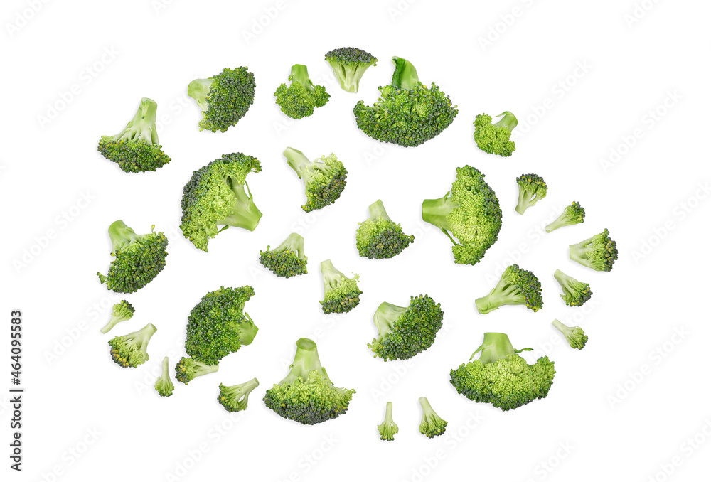 Piece of broccoli isolated on white background. Top view