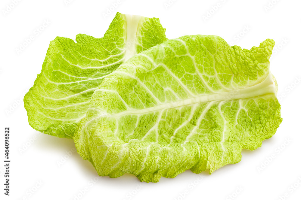 savoy cabbage leaves path isolated on white savoy cabbage leaves path isolated on white