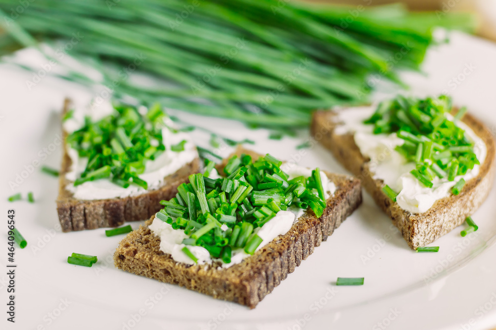 rye bread sandwiches with fresh cheeses and green onions rye bread sandwiches with fresh cheeses and green onions