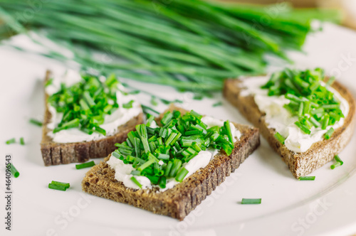 rye bread sandwiches with fresh cheeses and green onions