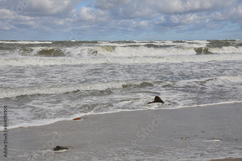 Wallpaper Mural Beautiful seascape during a storm. Element, horizon, nature, beauty, wind, beach, waves Torontodigital.ca
