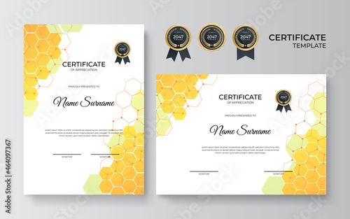 Modern elegant diploma certificate template with business and corporate concept