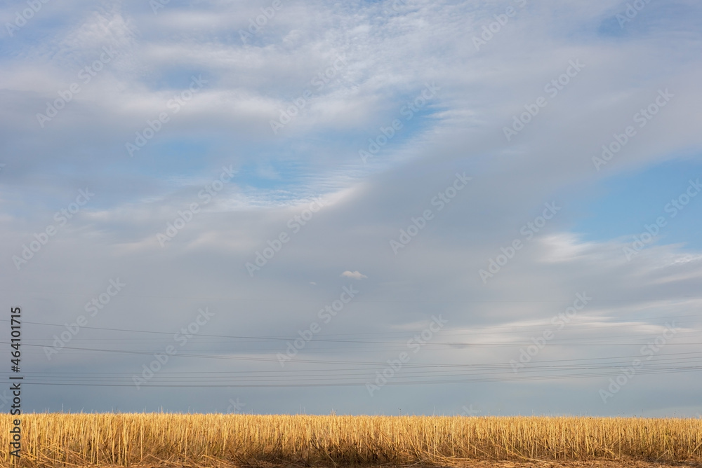 autumn countryside landscape of field after harvest against cloudy sky background