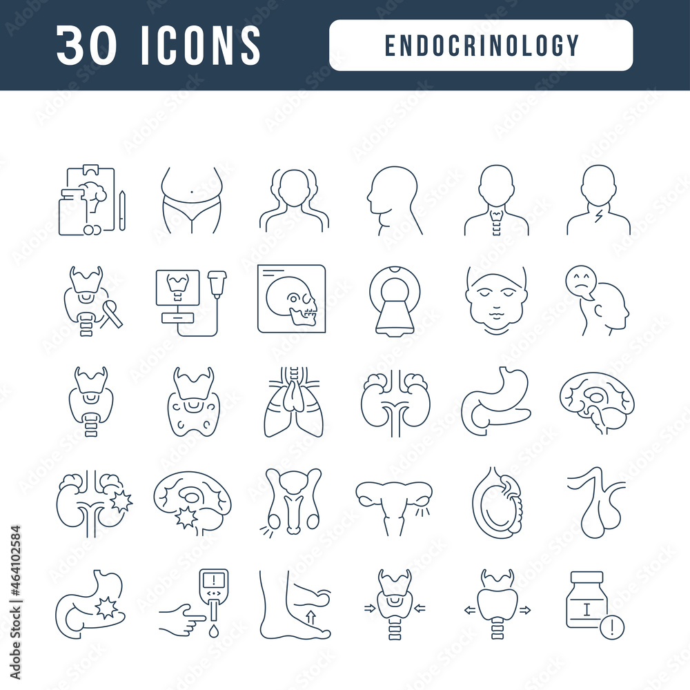 Endocrinology. Collection of perfectly thin icons for web design, app, and the most modern projects. The kit of signs for category Medicine. Endocrinology. Collection of perfectly thin icons for web design, app, and the most modern projects. The kit of signs for category Medicine.