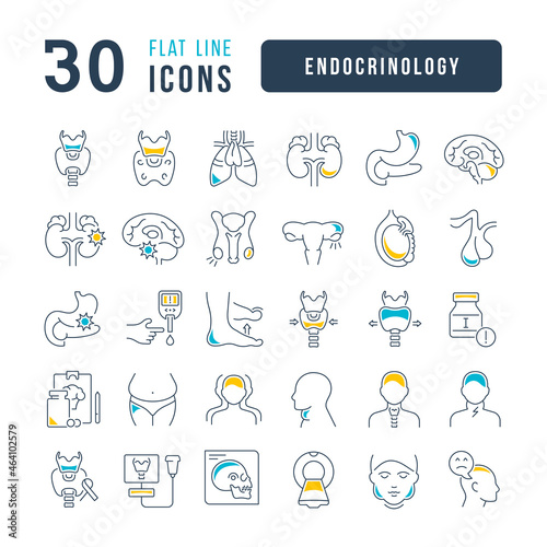 Endocrinology. Collection of perfectly thin icons for web design, app, and the most modern projects. The kit of signs for category Medicine.