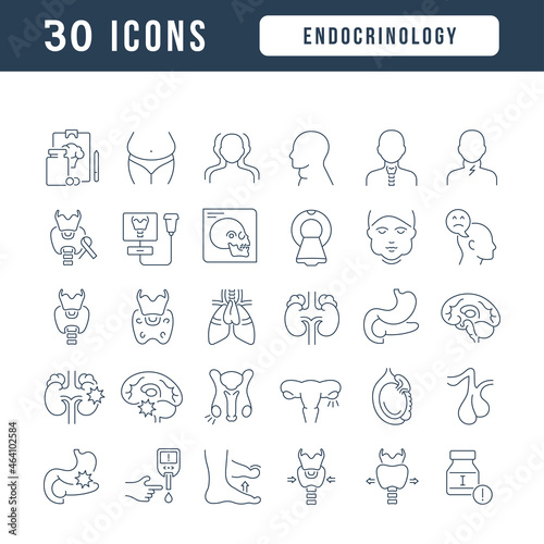 Endocrinology. Collection of perfectly thin icons for web design  app  and the most modern projects. The kit of signs for category Medicine.