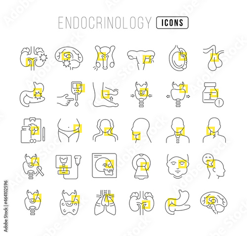 Endocrinology. Collection of perfectly thin icons for web design, app, and the most modern projects. The kit of signs for category Medicine.