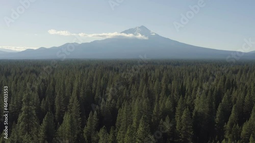 Amazing, aerial footage of Mount Shasta with pine tree forest in the foreground