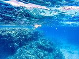 A woman during diving near coral reef in Red Sea.
