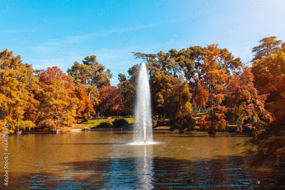 Fototapeta premium Pond with fountain in a park in autumn. Autumn vibes. Selective focus.