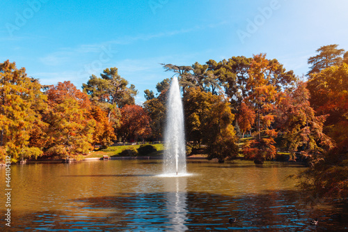 Pond with fountain in a park in autumn. Autumn vibes. Selective focus.