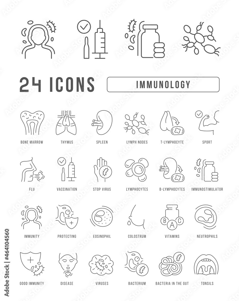 Immunology. Collection of perfectly thin icons for web design, app, and the most modern projects. The kit of signs for category Medicine. Immunology. Collection of perfectly thin icons for web design, app, and the most modern projects. The kit of signs for category Medicine.