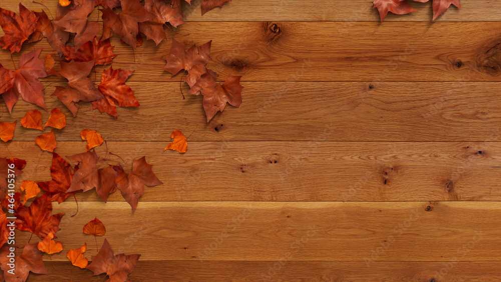 custom made wallpaper toronto digitalAutumn flat lay with leaves. Thanksgiving concept with copy space.