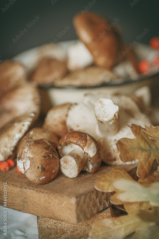 Fototapeta premium mushrooms on a cutting board