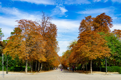 Autumn landscape with orange, brown and yellow colors in the branches of the trees and by the path full of leaves in Parque del Retiro in Madrid, in Spain. Europe. Horizontal photography.