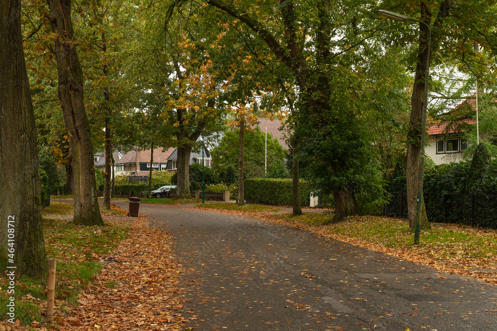 Naklejka premium Red and orange autumn leaves in the street.