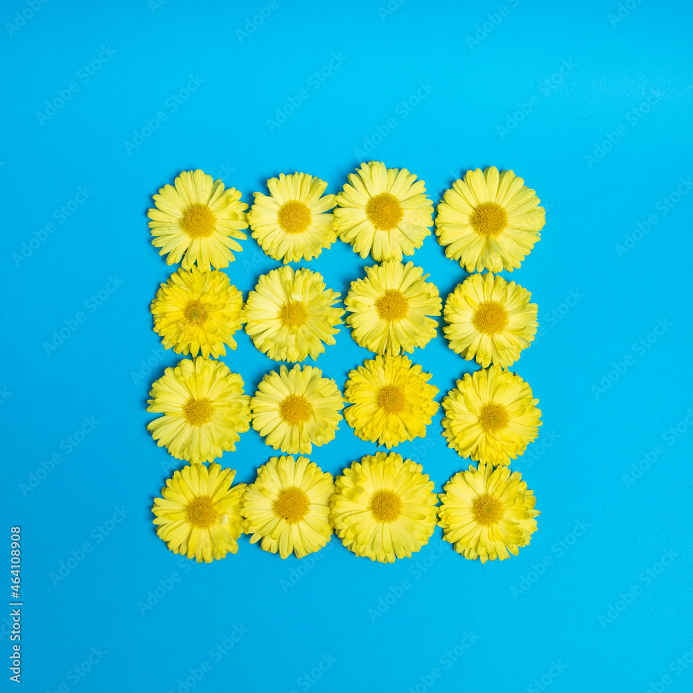 Yellow square made of flowers. Blue background. Cool and trendy photo. Yellow square made of flowers. Blue background. Cool and trendy photo.