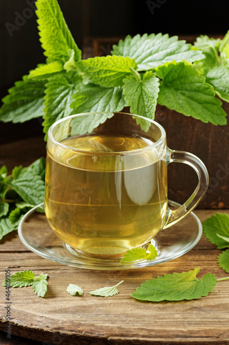 Lemon balm herbal tea in glass cup with fresh plant close, melissa officinalis herb is used for sleep, as digestive, anxiety, stress remedy, closeup, naturopathy and natural medicine concept