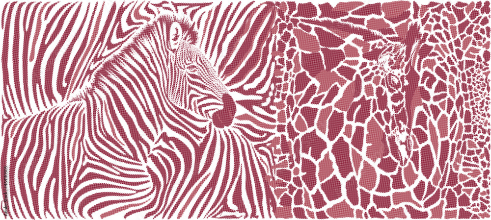 Raster background of giraffes and zebras Raster background of giraffes and zebras