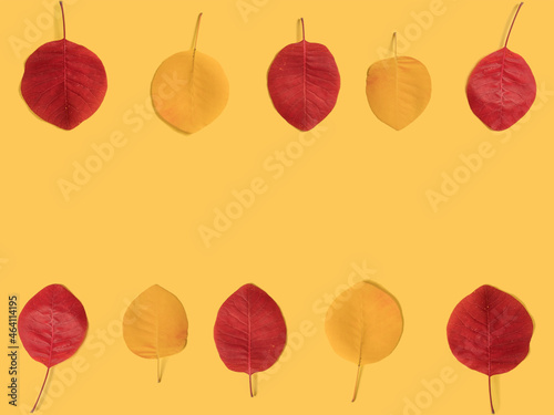Autumn leaf on a yellow background. In the form of a frame. Autumn concept.
