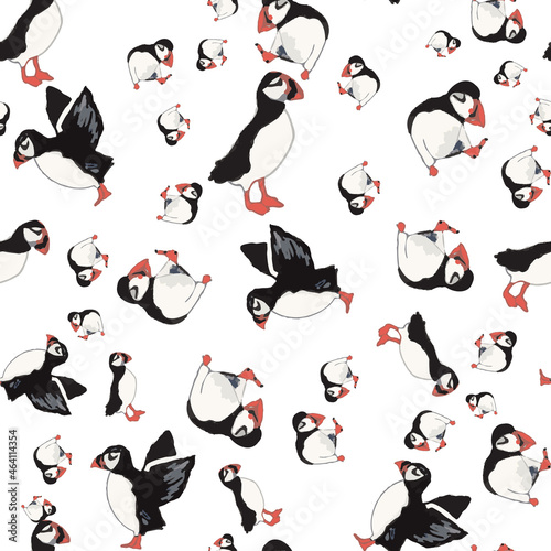 Vector white background ocean seabird, arctic birds, puffins. Seamless pattern background