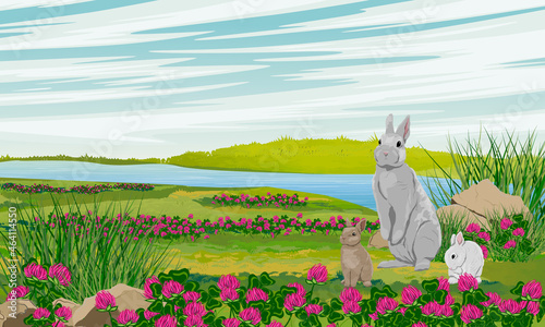 A rabbit and two bunnies are sitting in a summer meadow with clover flowers and grass on the bank of the river. Rabbits in the habitat. Realistic vector landscape