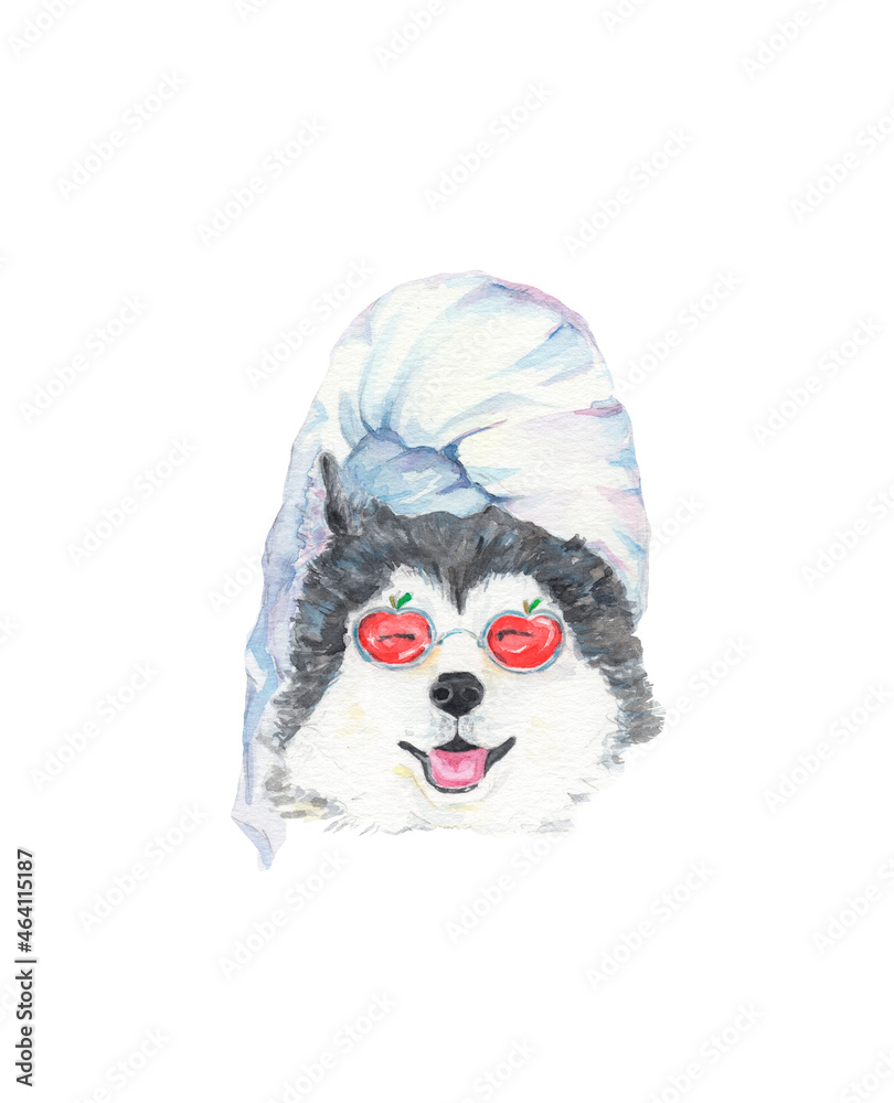 Happy Dog. Watercolor cute illustration. Animal. Design for children, babies. Funny Husky.Siberian Husky Illustration. Dog in Red Glasses.