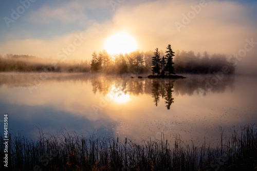 Island and forest on a misty lake in morning sunshine © Paul