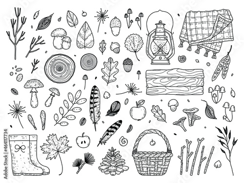 Vector set of autumn elements dried herbs, leaves, mushrooms, kerosene lantern, rain boots, basket, saw cut wood, knitted blanket, feathers. Cute forest treasures and hiking items.