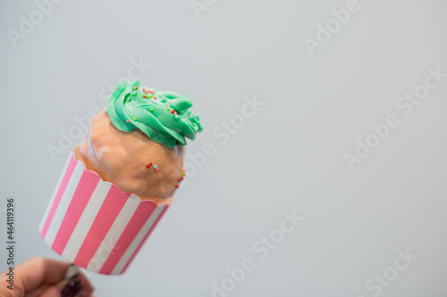 Giant Sweet Cupcake Cake Pop with Green Frosting and pink chocolate and multi colored Sprinkles