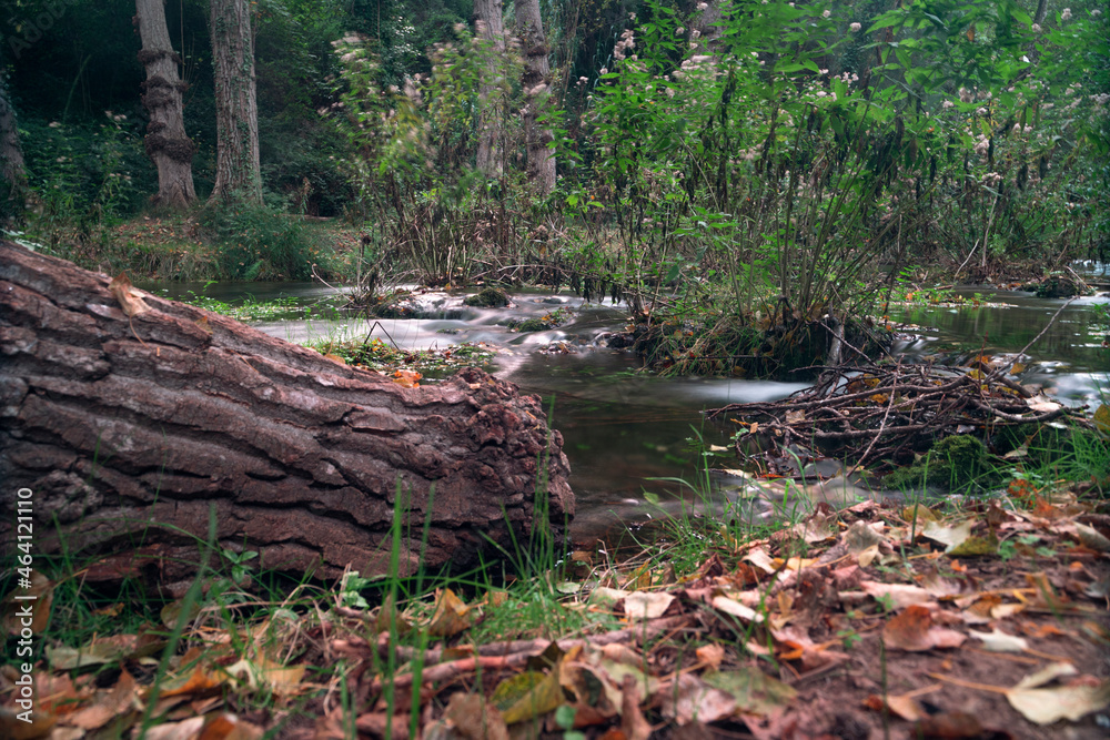 Forest in autumn with long exposure waterfall in bejis, valencia. Brown, green