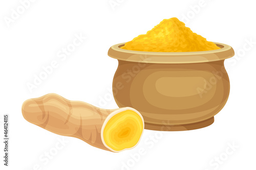 Turmeric or Curcuma Longa Rhizome and Powder in Bowl Used in Asian Cuisine Closeup Vector Illustration