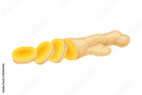 Turmeric or Curcuma Longa Sliced Rhizome Used in Asian Cuisine Closeup Vector Illustration