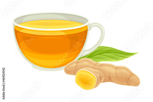 Turmeric or Curcuma Longa Rhizome with Cup of Prepared Beverage Closeup Vector Illustration