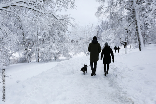 person walking in forest, couple with dog walking in the snow, a couple walking with dog in snowy winter park 