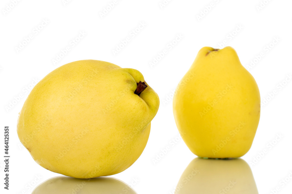 Two bright yellow organic quince, close-up, isolated on white.