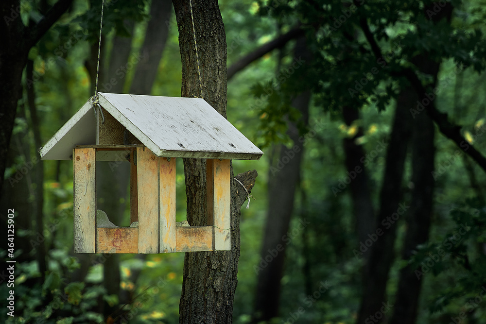 Birdhouse in the forest on a tree. A bird house. Bird feeder. Wooden house for birds. Birdhouse in the forest on a tree. A bird house. Bird feeder. Wooden house for birds.