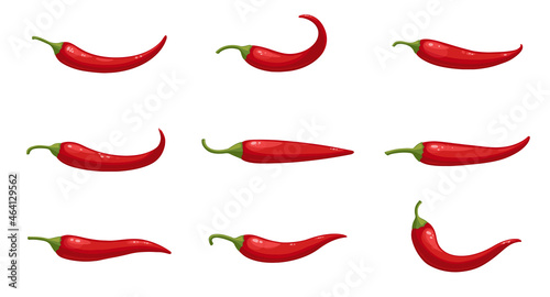 Vector set of realistic hot chilli peppers, large chilly pepper collection isolated on white. Flat vector illustration, cartoon style vegetables.
