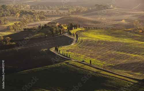 Early morning beautiful Tuscany hills landscape view with plowed and green grass covered wavy fields. Sunrise light covers the meadows and fields making magic light-shadows playing. © Soloviova Liudmyla