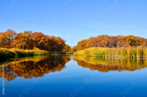 nature beautiful view from the river to the banks in autumn bright colors selective focus