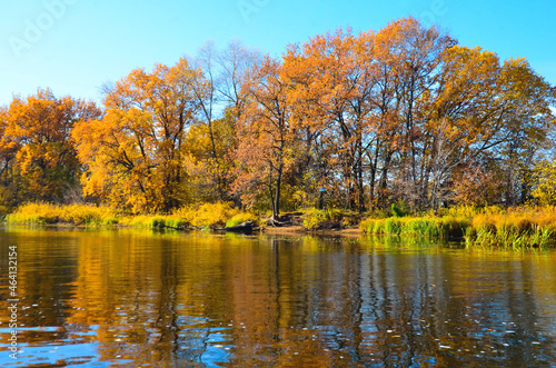 autumn trees by the river are reflected in the water selective focus