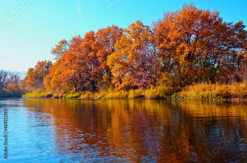 beautiful autumn landscape on the river orange trees reflected in the river selective focus
