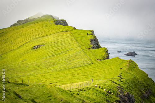 cliffs on mykines island, faroe islands, north atlantic, europe photo