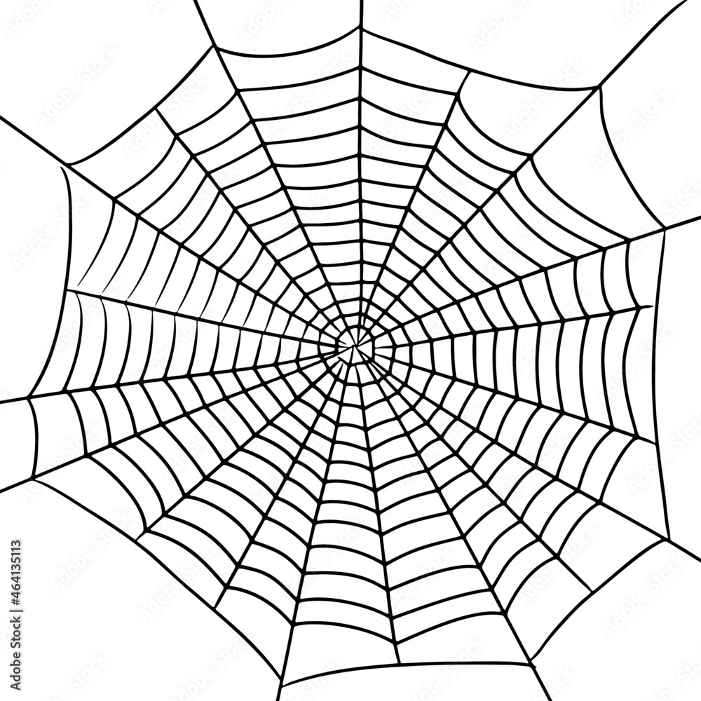Obraz premium Hand-drawn spider web