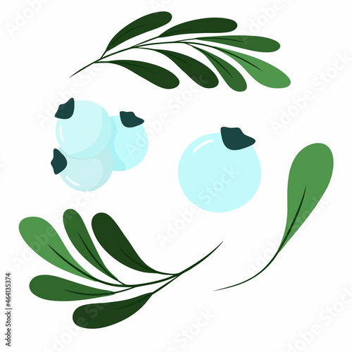 Vector Christmas frame with mistletoe. Hand-drawn illustration for congratulations and invitations