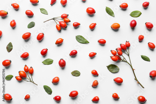 Cuadro en lienzo Composition with fresh rose hip berries and leaves on white background